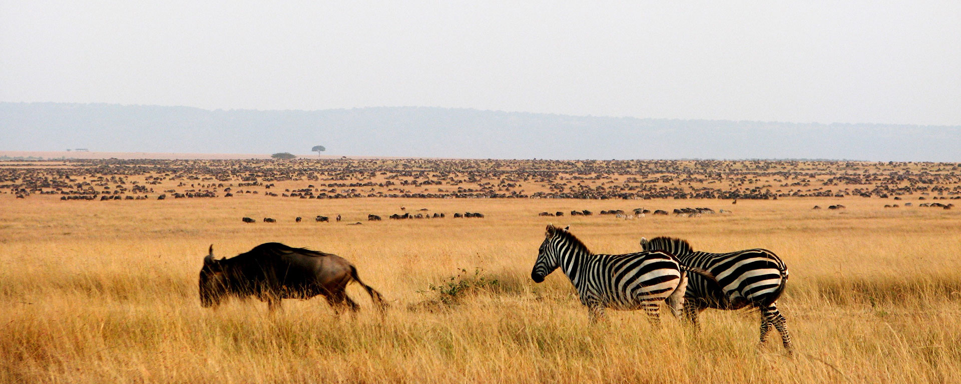 Kenya safari package prices