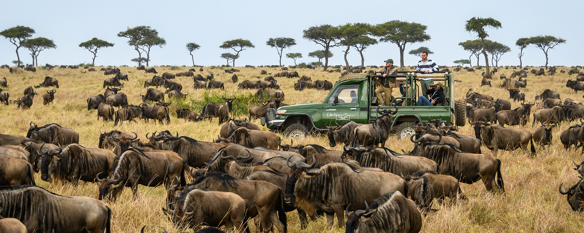 Tanzania safari tours