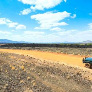 safaris in Tanzania