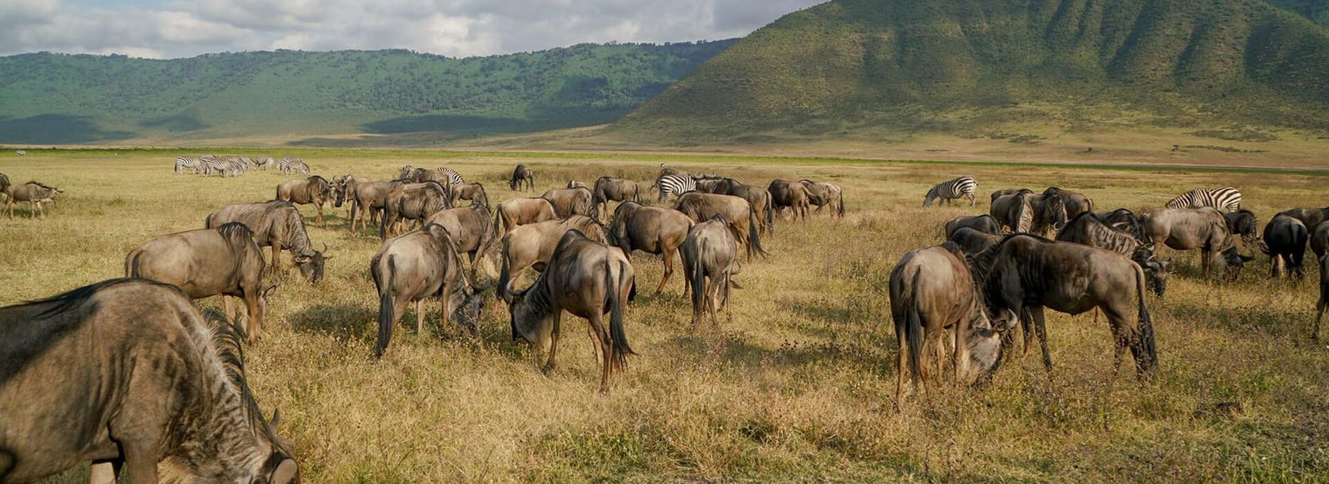 Camping Tanzania safari