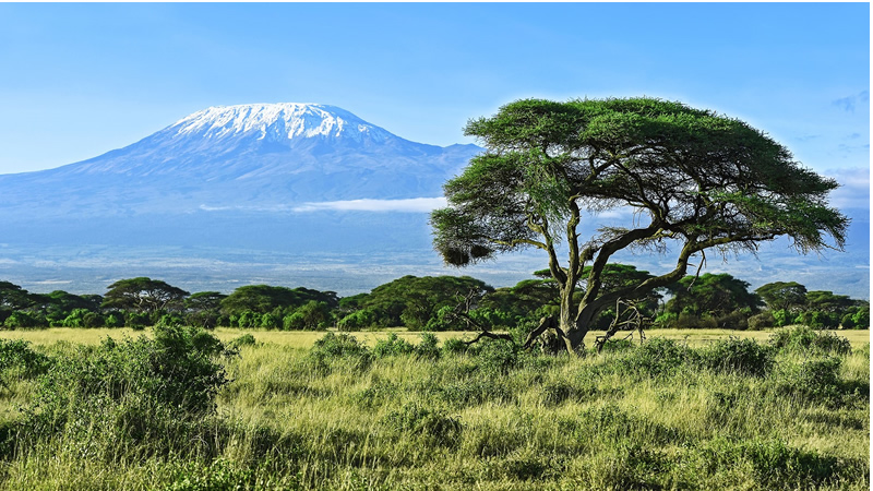 Tanzania safari packages