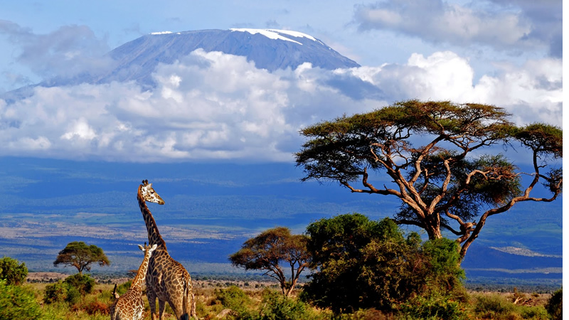 tours and safaris kenya