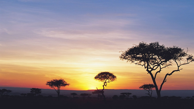 Kenya safari packages