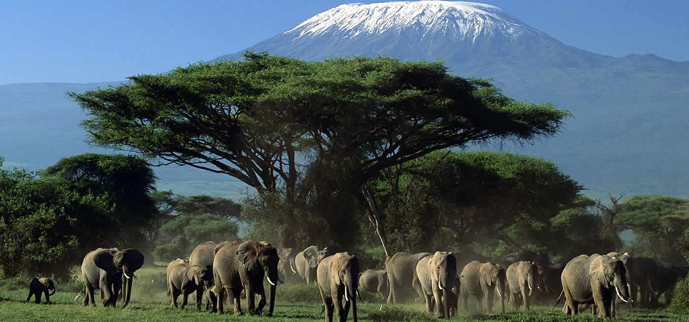 kenya safaris from nairobi