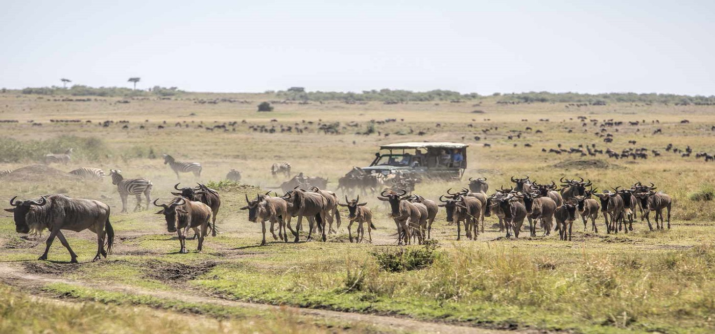 kenya safaris from nairobi