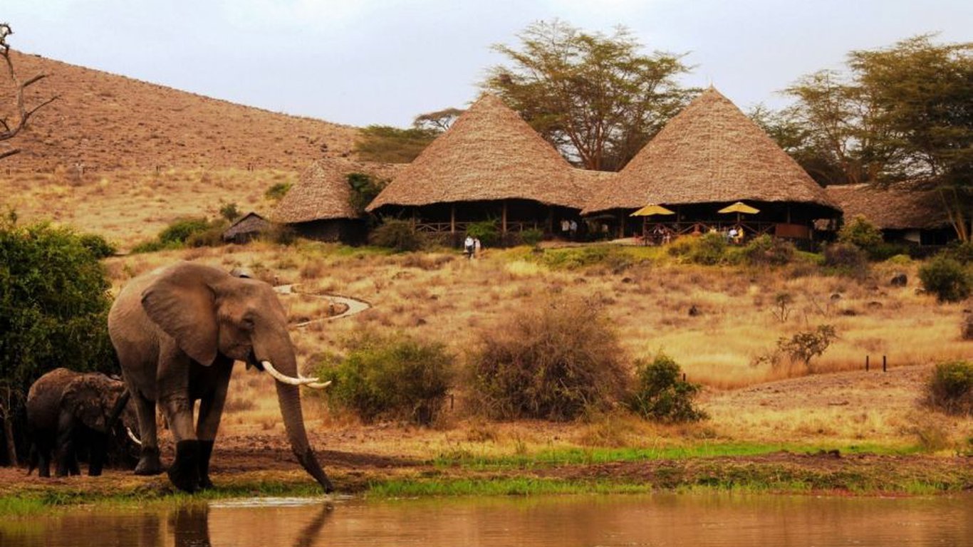 Serengeti Tanzania Safari