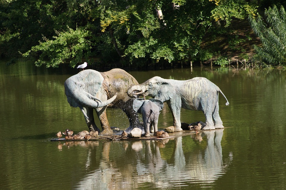 Safaris in Kenya